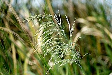 《如龙7外传》PC版性能表现分析：流畅运行无压力