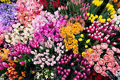 新发现表明Switch2底座芯片组极可能支持4K输出